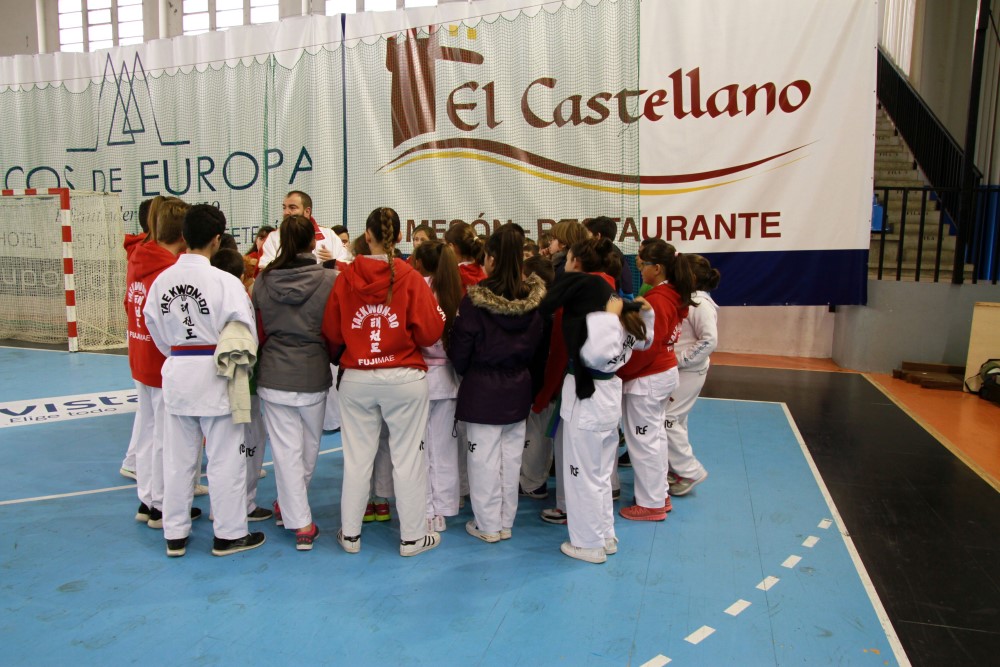 Taekwondo Dic 2016 (12).jpg